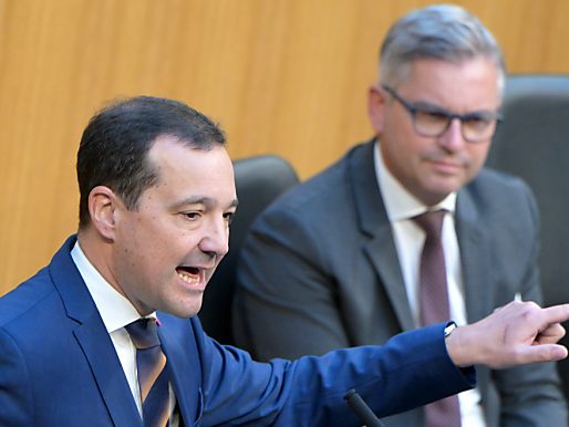 NEOS-Abgeordneter Loacker kritisiert Budgetentwurf von Brunner massiv