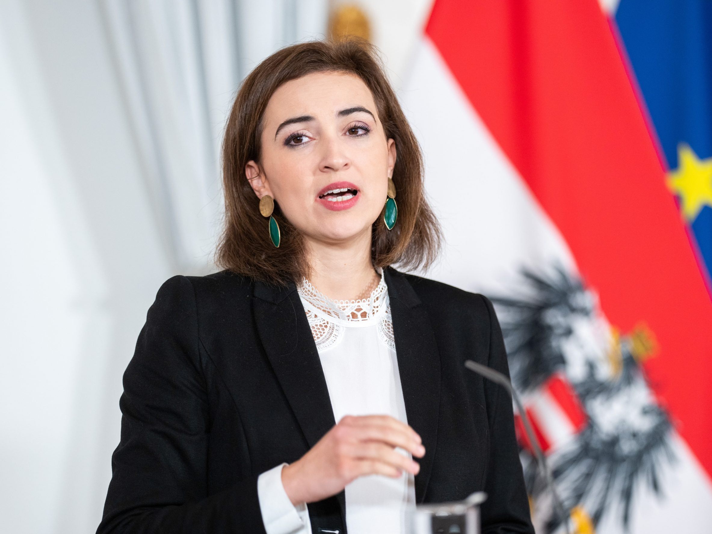 Zadic kündigte eine Untersuchungskommission an.