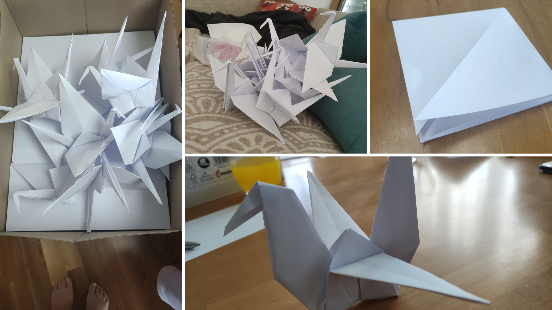 Fotos vom Basteln
