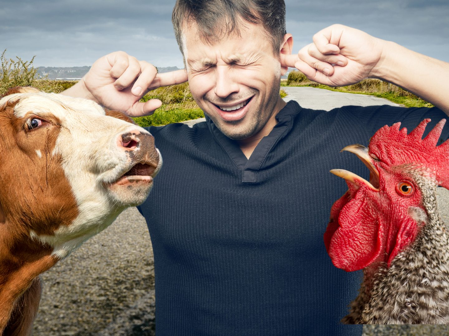Gegen störende Tiere kann in Frankreich nicht mehr geklagt werden.