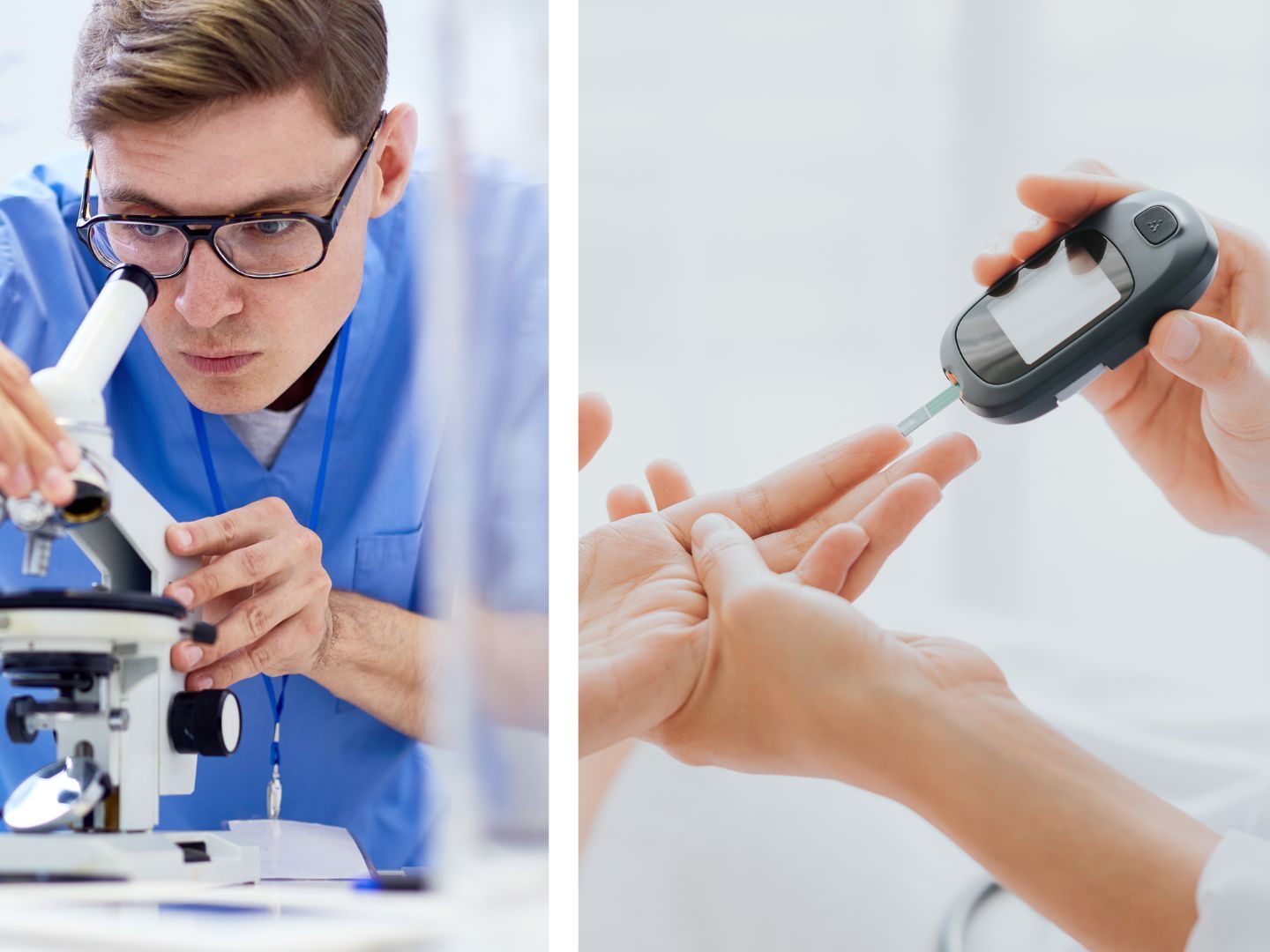 Ein Durchbruch in der Diabetes-Therapie zeichnet sich ab: Xanthohumol, ein Wirkstoff aus der Hopfenpflanze, eröffnet neue Perspektiven in der Vorbeugung und Behandlung von Diabetes.