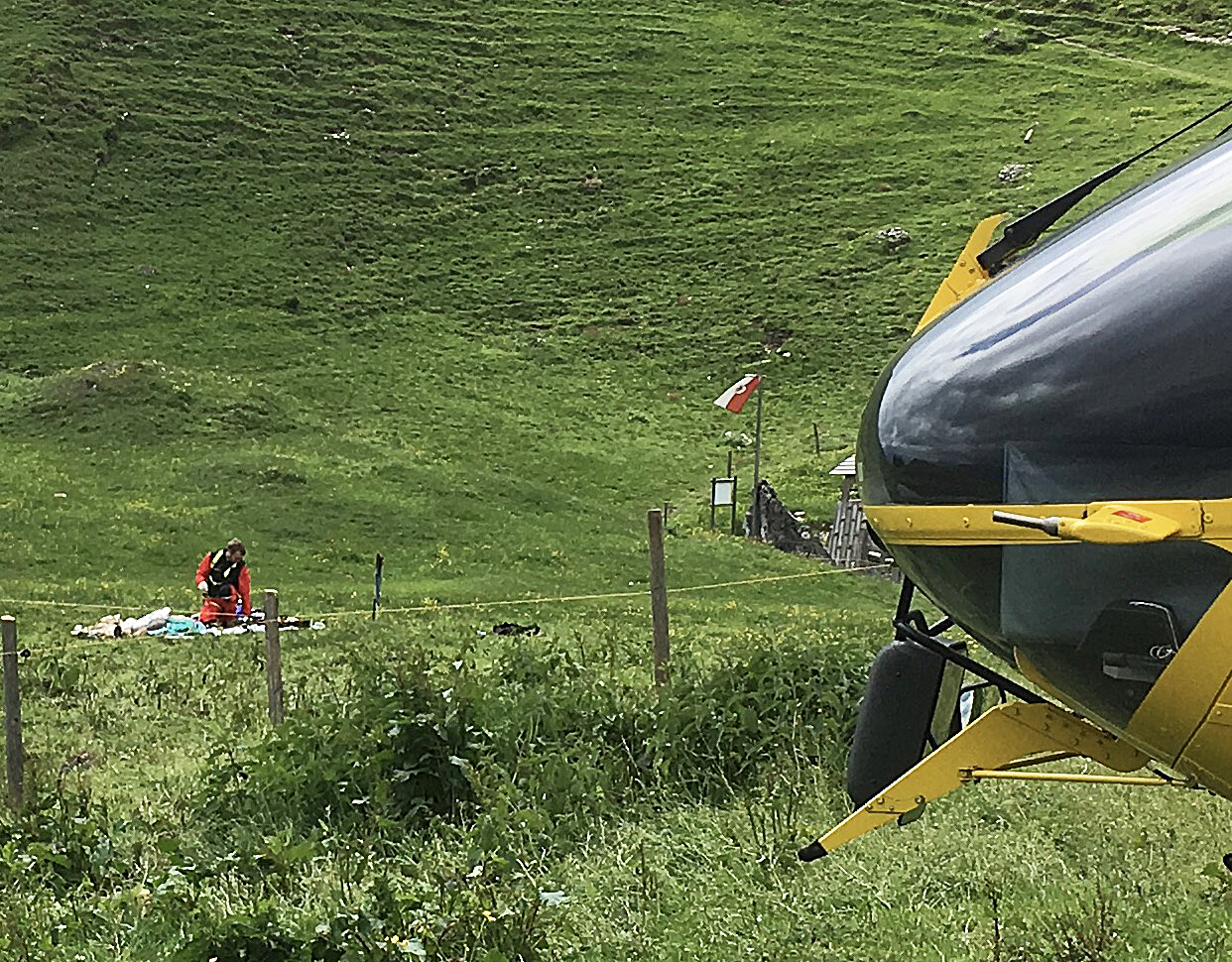 Eine 70-jährige Tirolerin ist am Mittwoch. 7. Juni 2017, nahe einer Alm in Erl (Bezirk Kufstein) von zumindest einer Kuh attackiert und tödlich verletzt worden.