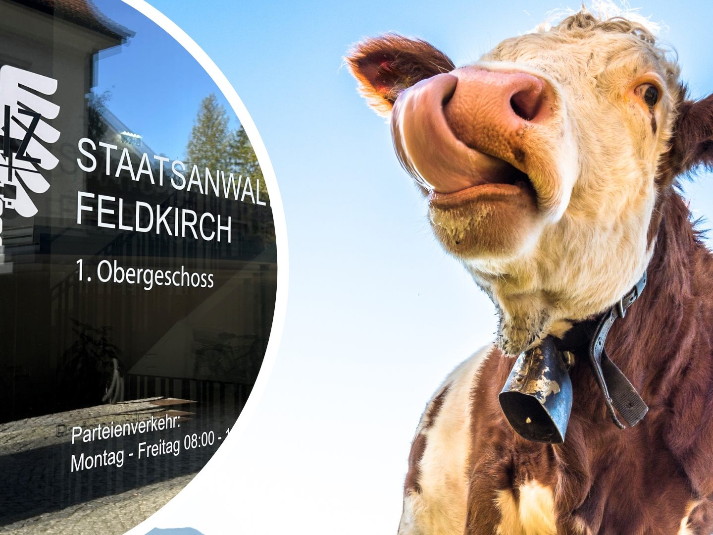 Gegen den betreffenden Landwirt wird nun wegen Tierquälerei ermittelt. (Symbolbild)
