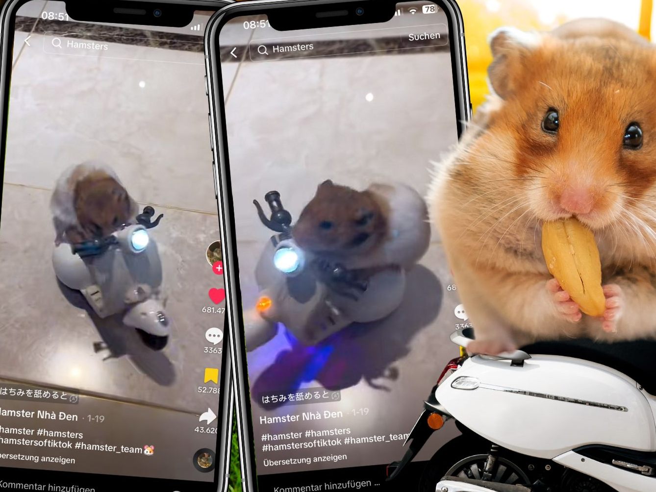 In einer Welt, in der das Außergewöhnliche oft im Kleinsten zu finden ist, hat ein winziger Hamster das Internet im Sturm erobert.