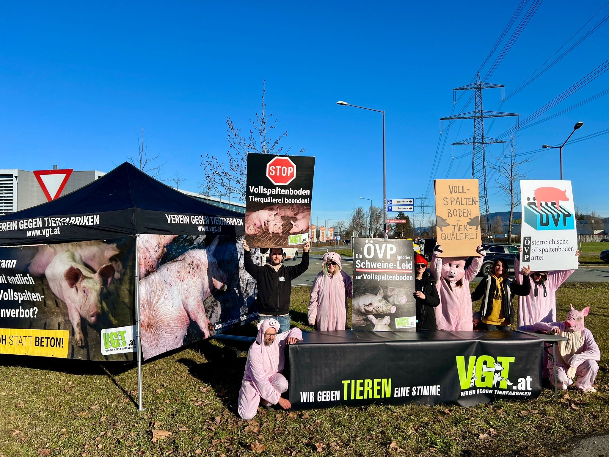 VGT protestiert gegen die Vollspaltenböden in der Schweinezucht