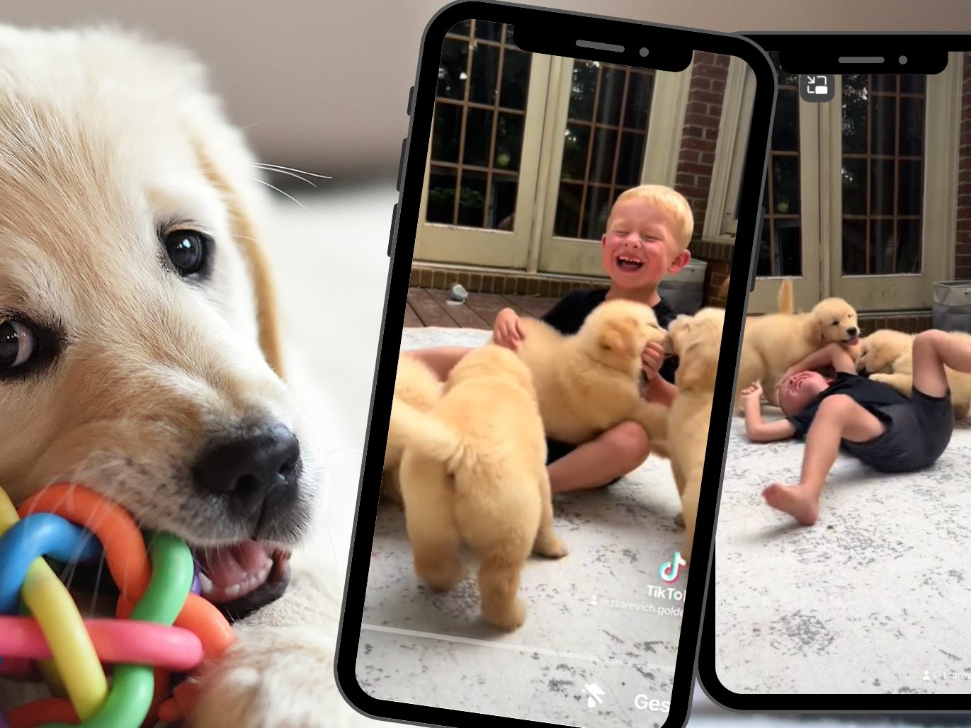 Zuckersüßes TikTok erobert Millionen Herzen