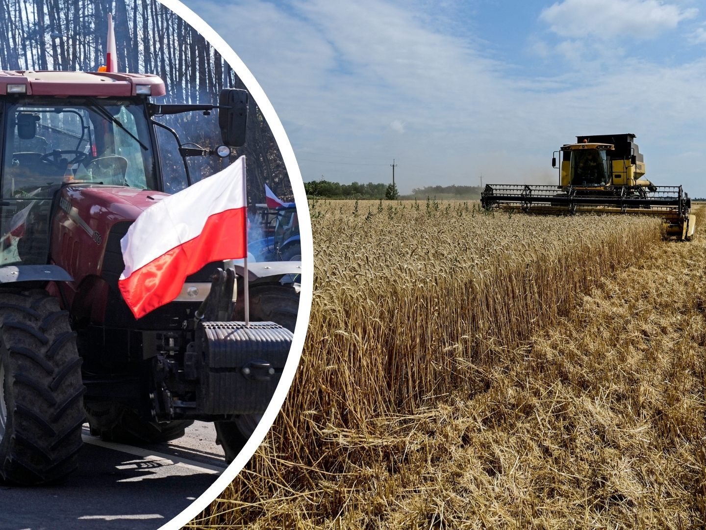 Das EU-Parlament hat sich mit den EU-Ländern drauf geeinigt, bestimmte Agrarprodukte aus der Ukraine in großen Mengen zu verzollen.