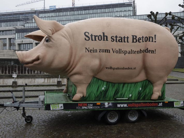 VGT Nein zu Vollspaltböden Aktion Kundgebung vor dem Landhaus.