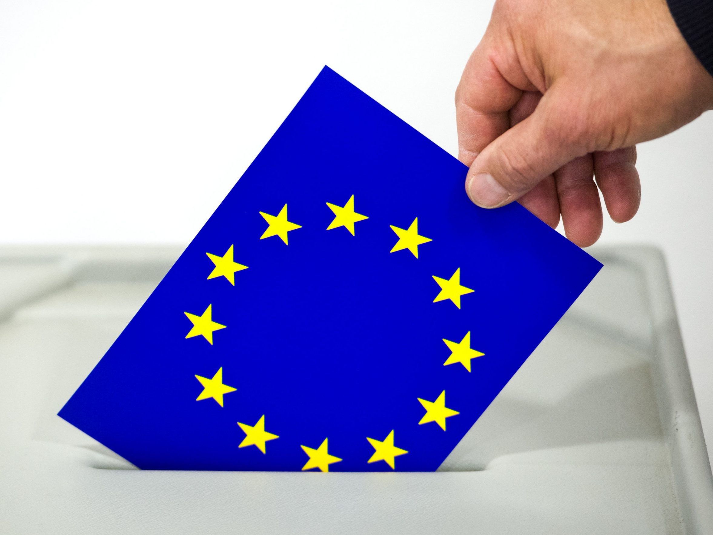 Insgesamt 6.371.165 Wahlberechtigten gibt es bei der EU-Wahl in Österreich.