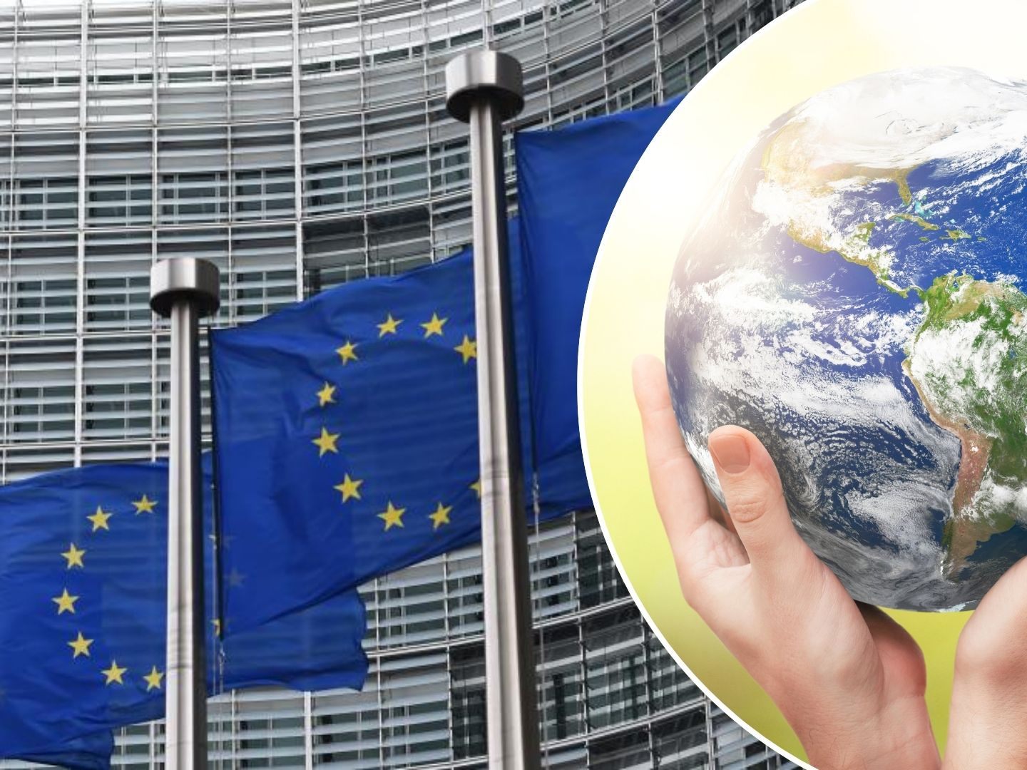 Die Klimapolitik gilt als eines der wichtigsten Wahlkampfthemen bei der EU-Wahl 2024.
