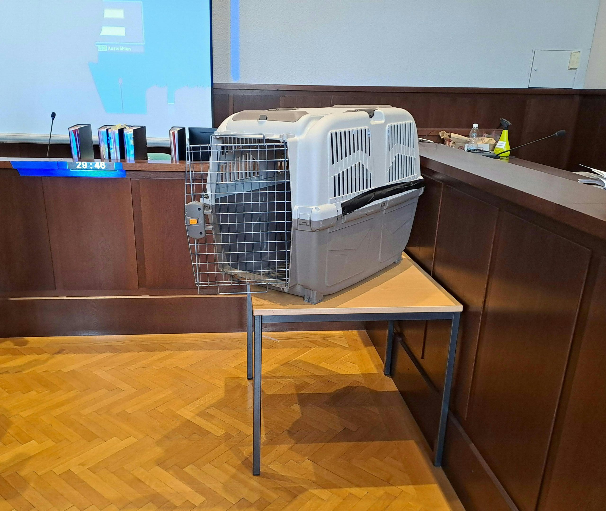 Die Hundebox, aufgenommen am Montag, 26. Februar 2024, im Rahmen des Prozesses am Landesgericht in Krems