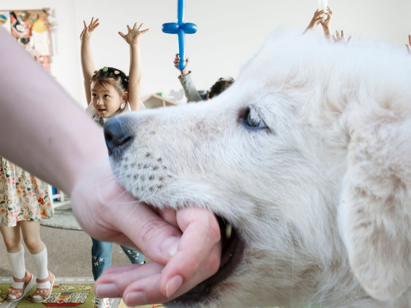 In Vorarlberg ist die neue Kampagne "Hunde sicher verstehen" angelaufen, die darauf abzielt, die Sicherheit im Umgang mit Hunden zu erhöhen und die Zahl der Hundebissverletzungen bei Kindern zu reduzieren.