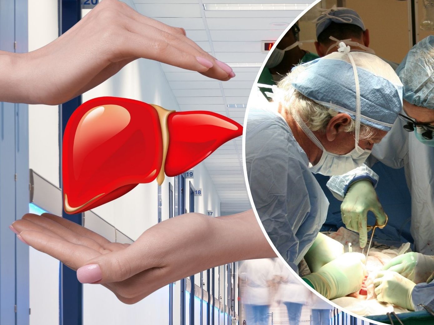 Organtransplantationen sind lebensrettende Eingriffe, die vielen Patienten eine zweite Chance geben. Doch können diese Eingriffe auch die Persönlichkeit der Empfänger verändern?