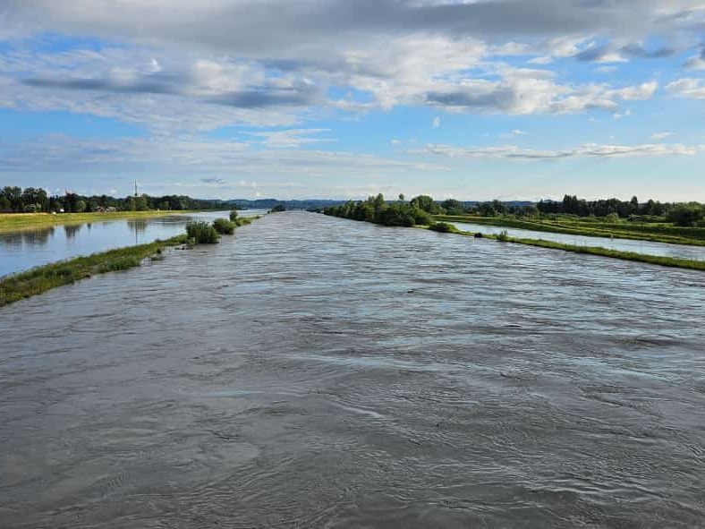 Rhein teilweise auf das Rheinvorland ausgedehnt.