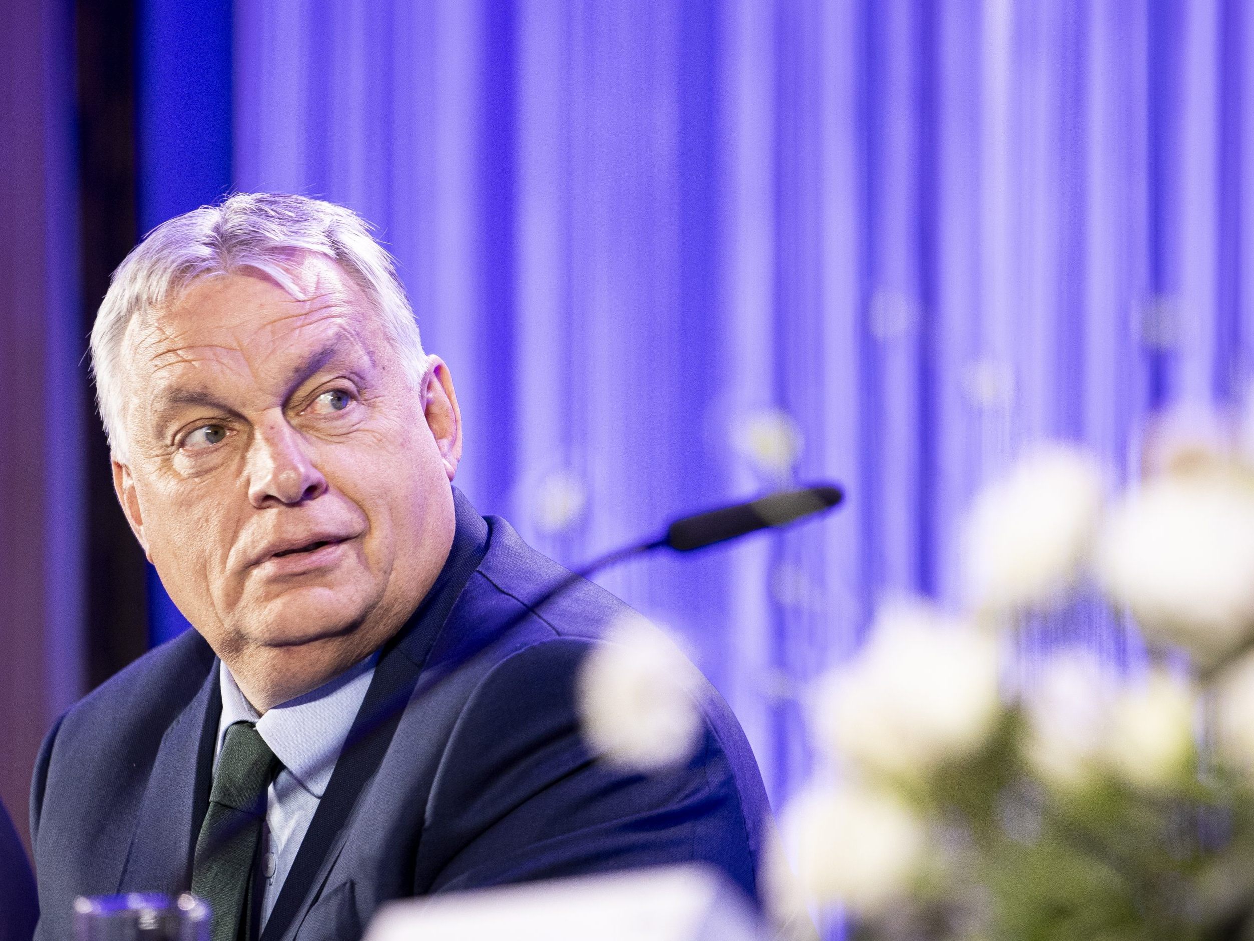 Orbán, Kickl sowie Babis hatten die "Patrioten für Europa" ins Leben gerufen.