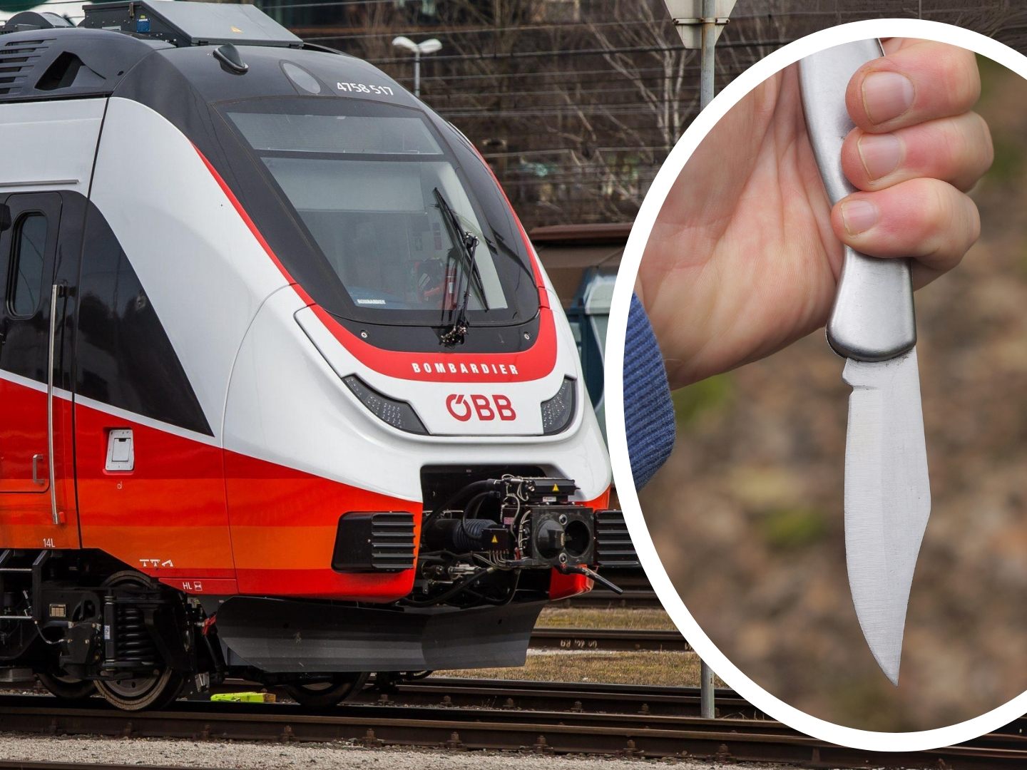Polizeieinsatz in ÖBB-Zug. (Symbolbild)