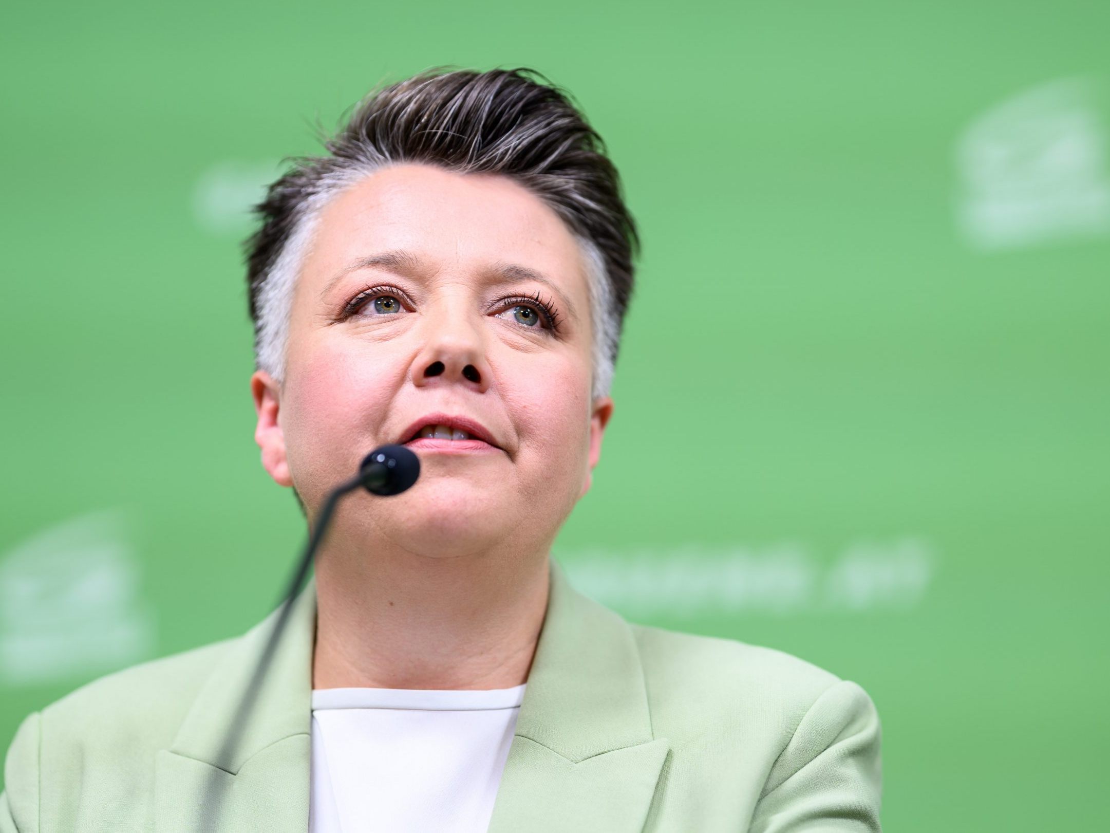 Die Grünen präsentierten ihre geplanten Wahlkampf-Touren.