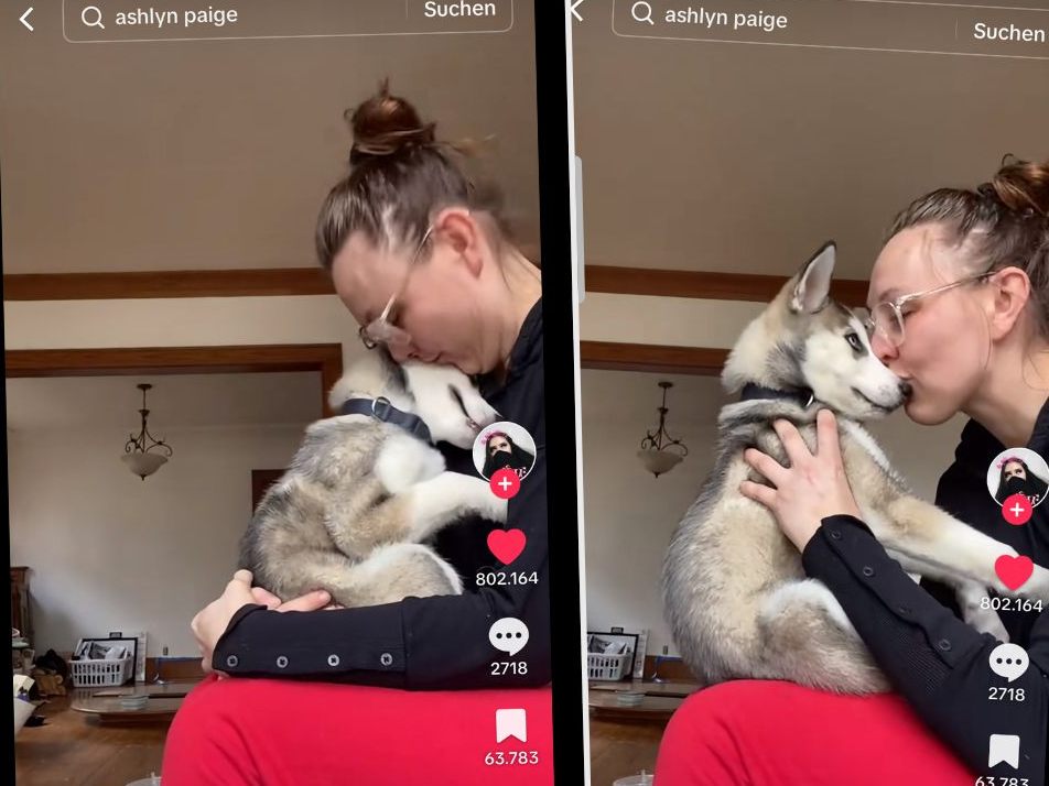 Die Besitzerin beginnt, wie ein Wolf zu heulen, und ihr Husky schaut sie neugierig an.