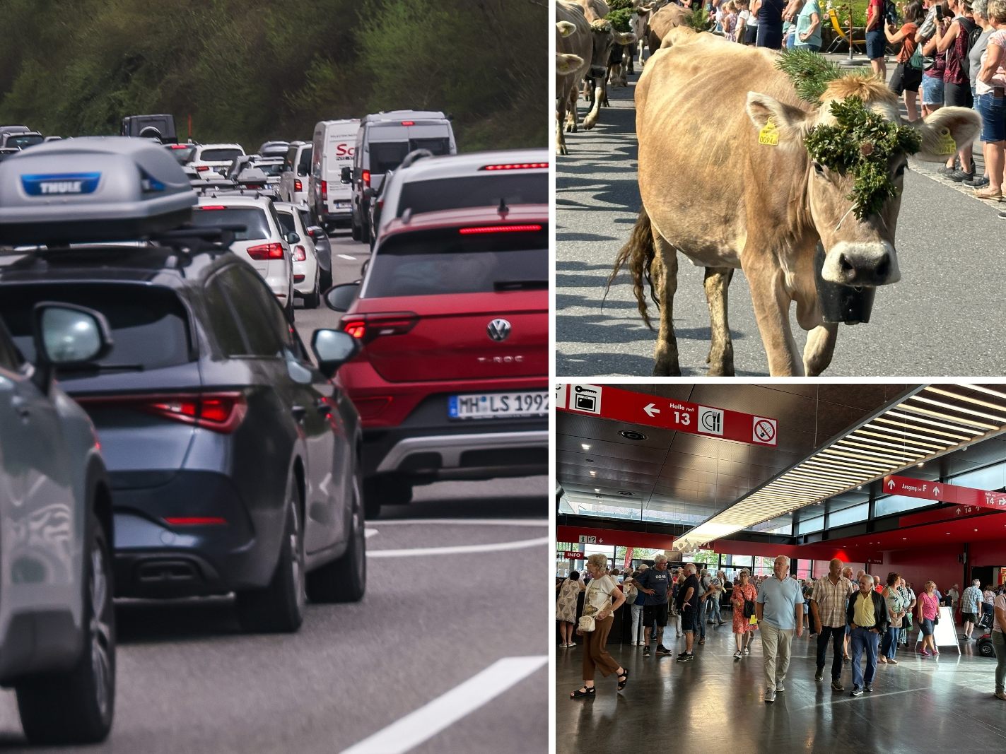 Am Wochenende ist viel los: Ferienende, Alpabtriebe und Herbstmesse.