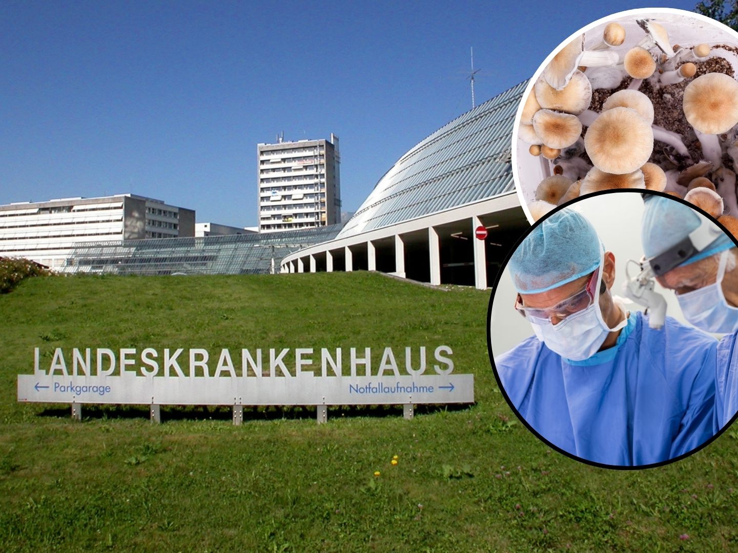 Im Vorarlberg hat sich ein Mann unter Drogeneinfluss den eigenen Penis abgehackt.