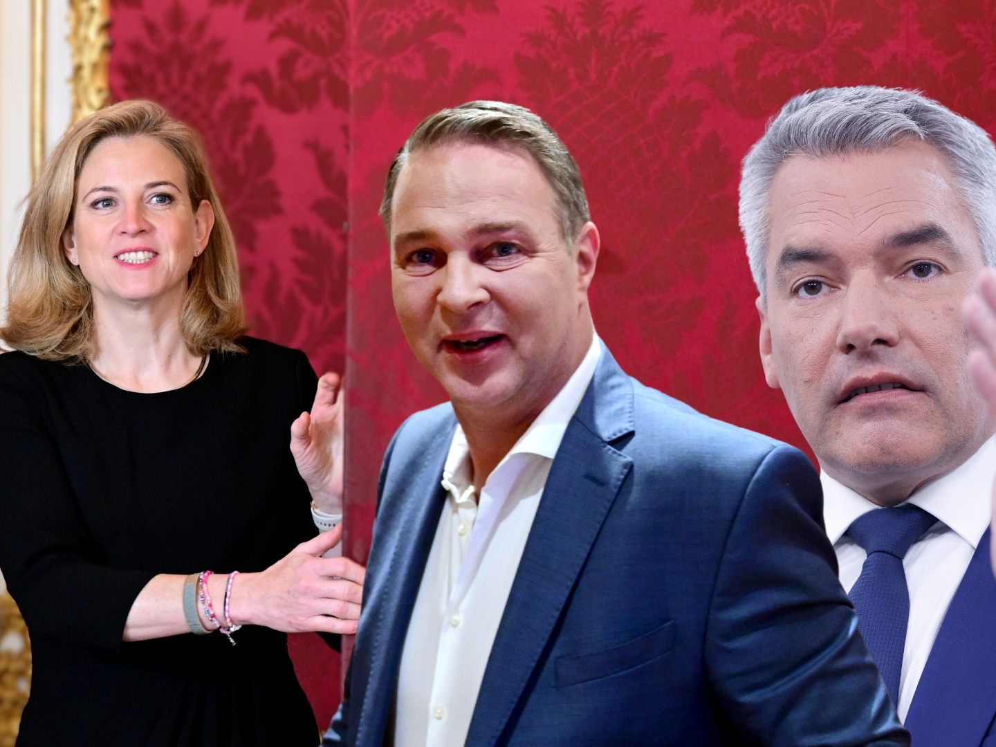Koalition: Meinl-Reisinger will mehr Tempo