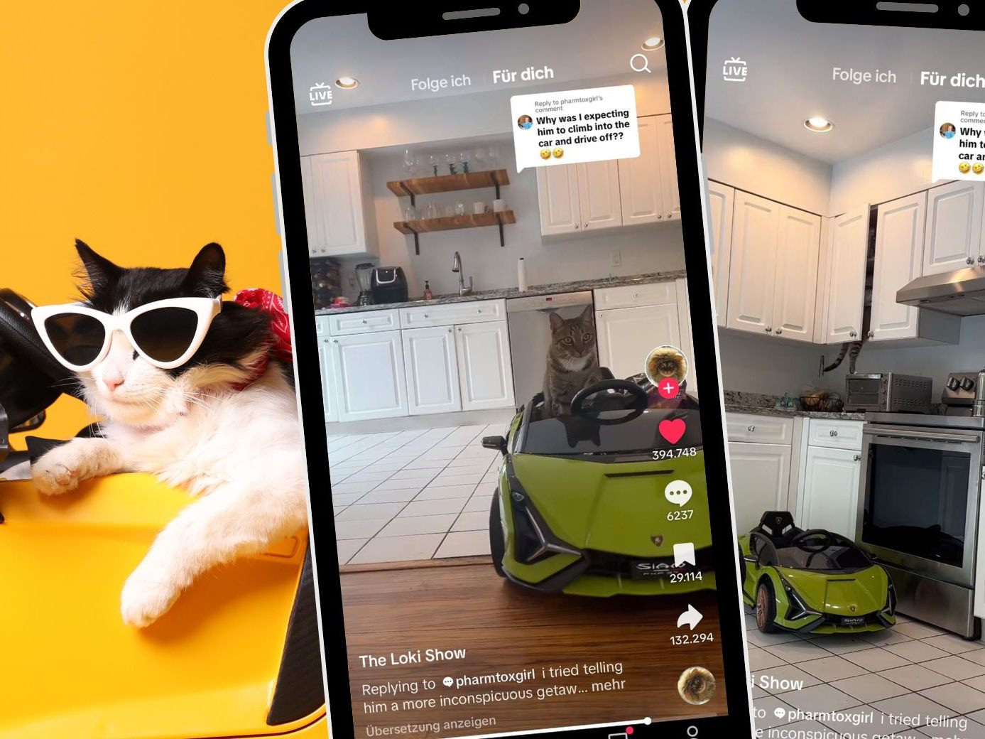 In einem TikTok-Video klaut eine Katze Doritos und flüchtet im Spielzeugauto.