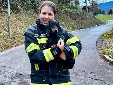 Hund konnte unversehrt gerettet werden