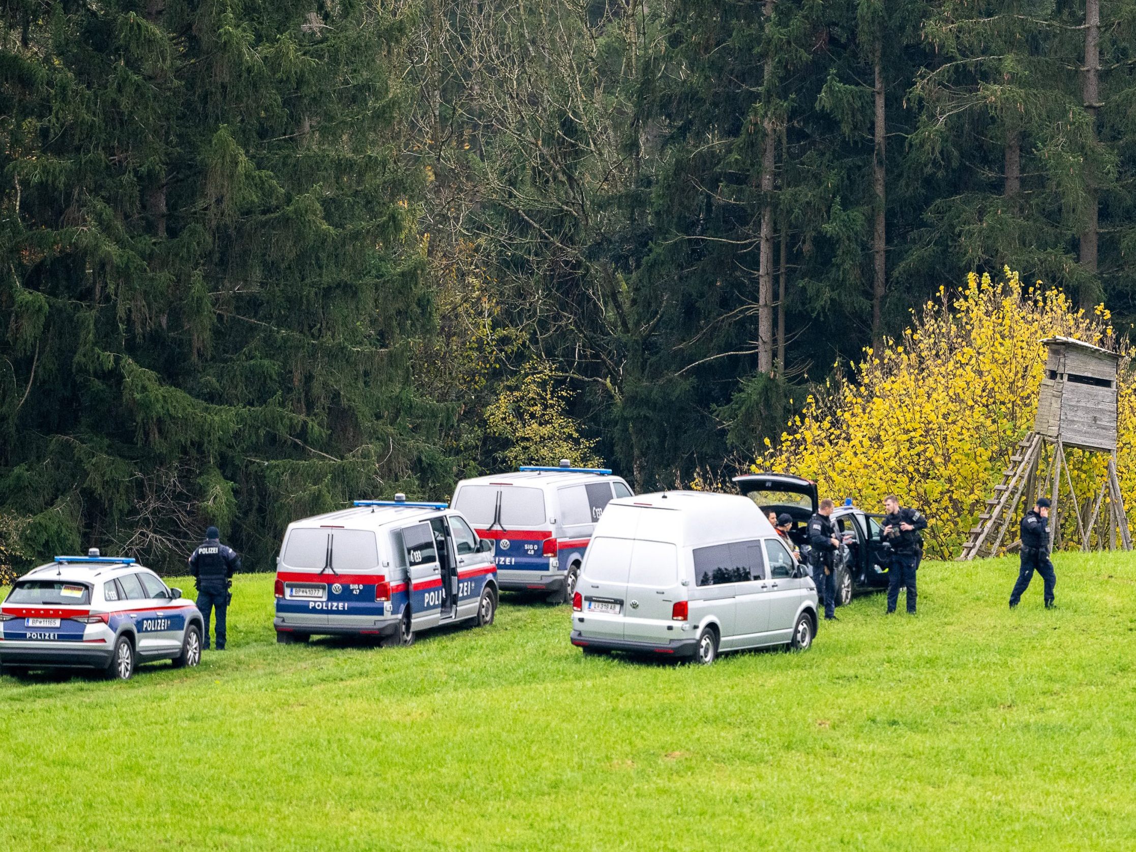 Der Verdächtige wurde am Samstag, dem 2. November 2024, leblos aufgefunden.