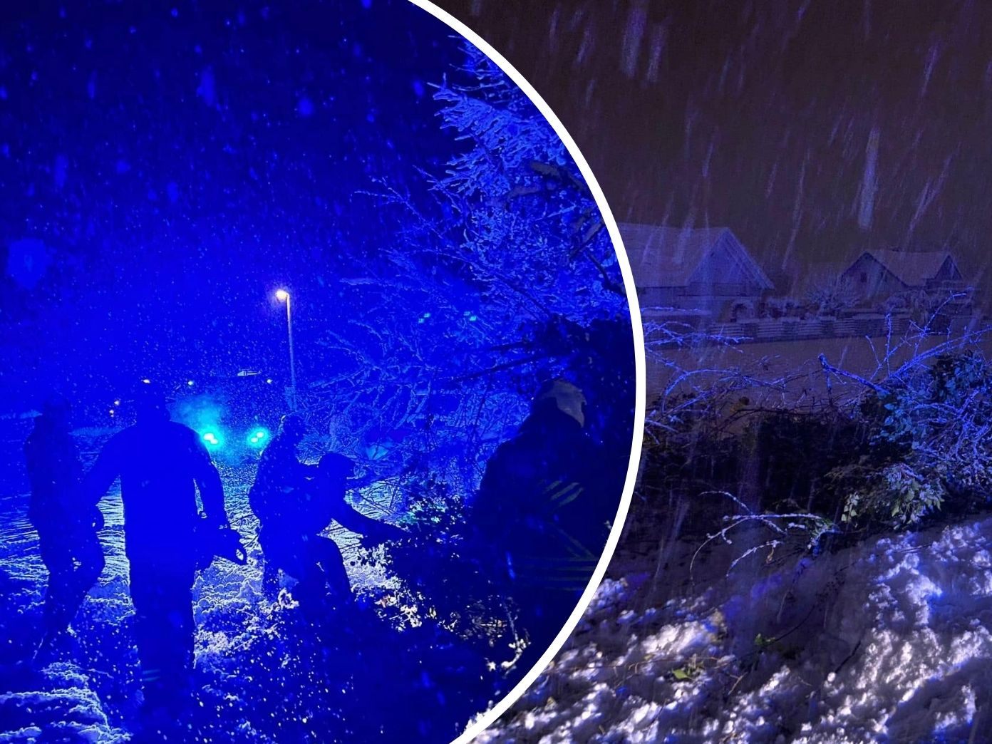 In der Nacht auf Freitag sorgte heftiger Schneefall für einen umgestürzten Baum.