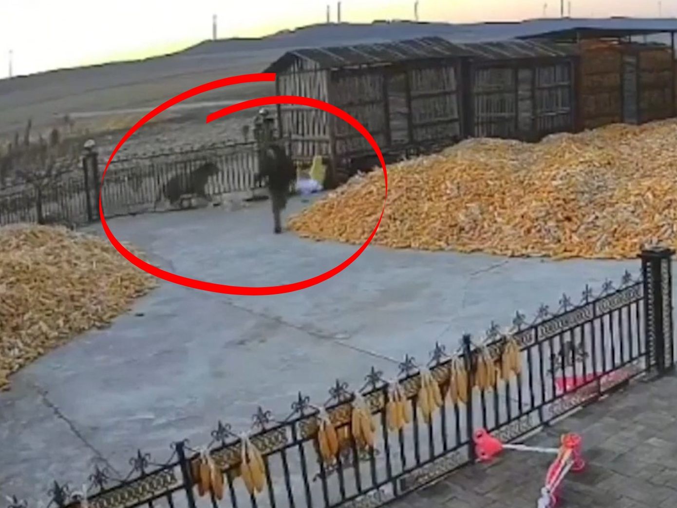 Nur das Tor zur Hofeinfahrt dürfte dem Mann das Leben gerettet haben.