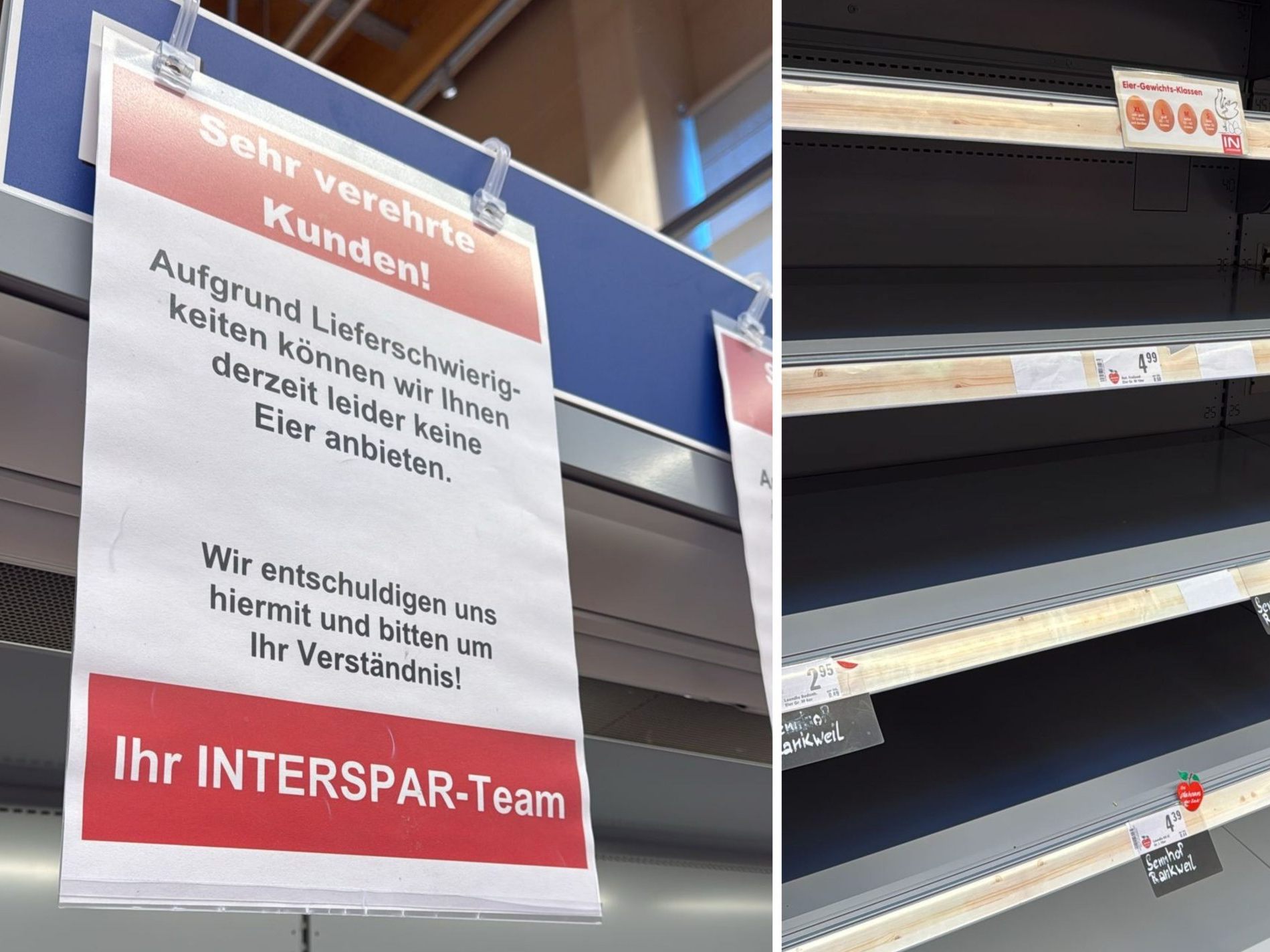 Kunden standen in Vorarlberger Spar-Filialen vor leeren Eier-Regalen und haben die Bilder davon an die VOL.AT-Redaktion geschickt.