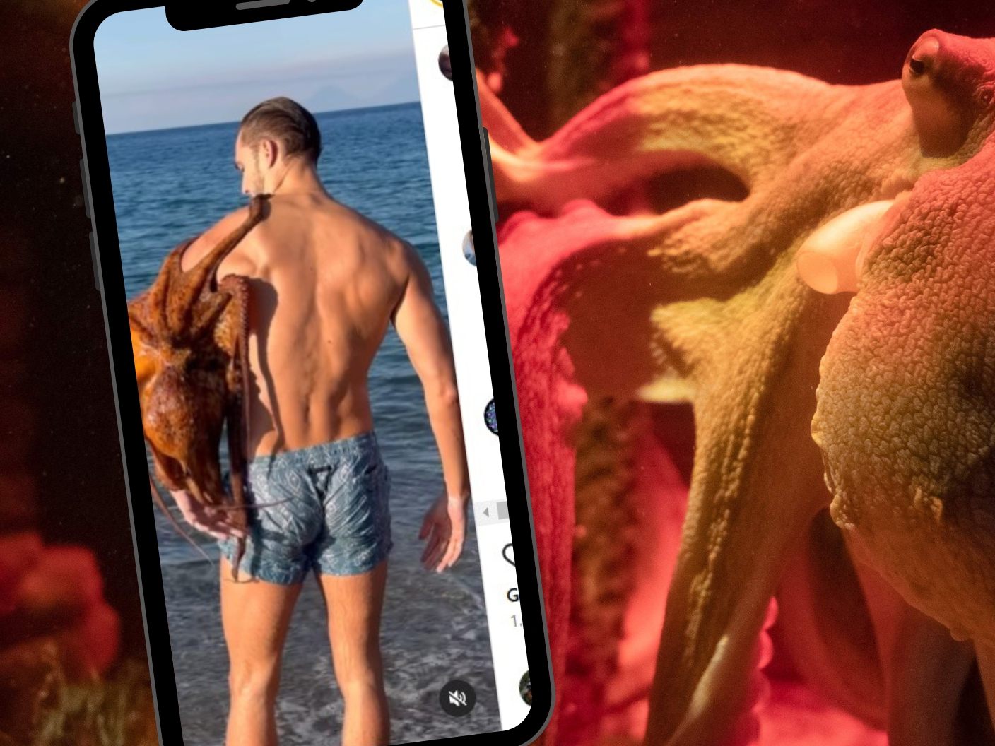 Oktopus kuschelt mit Männer-Model Federico Cola.