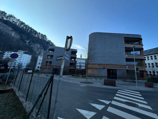 Die Zufahrt zum Wirtschaftspark. In Götzis kam es bei einem Wohnblock zu einem Vorfall.