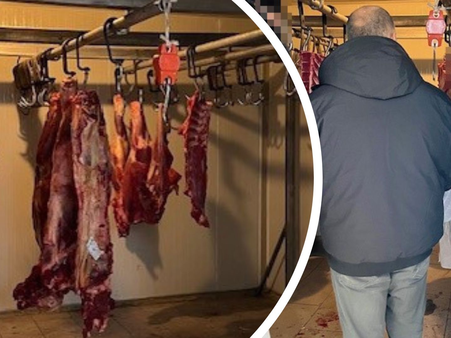 Die Gruppe Sofortmaßnahmen deckte eine weitere illegale Fleischerei in Wien auf.