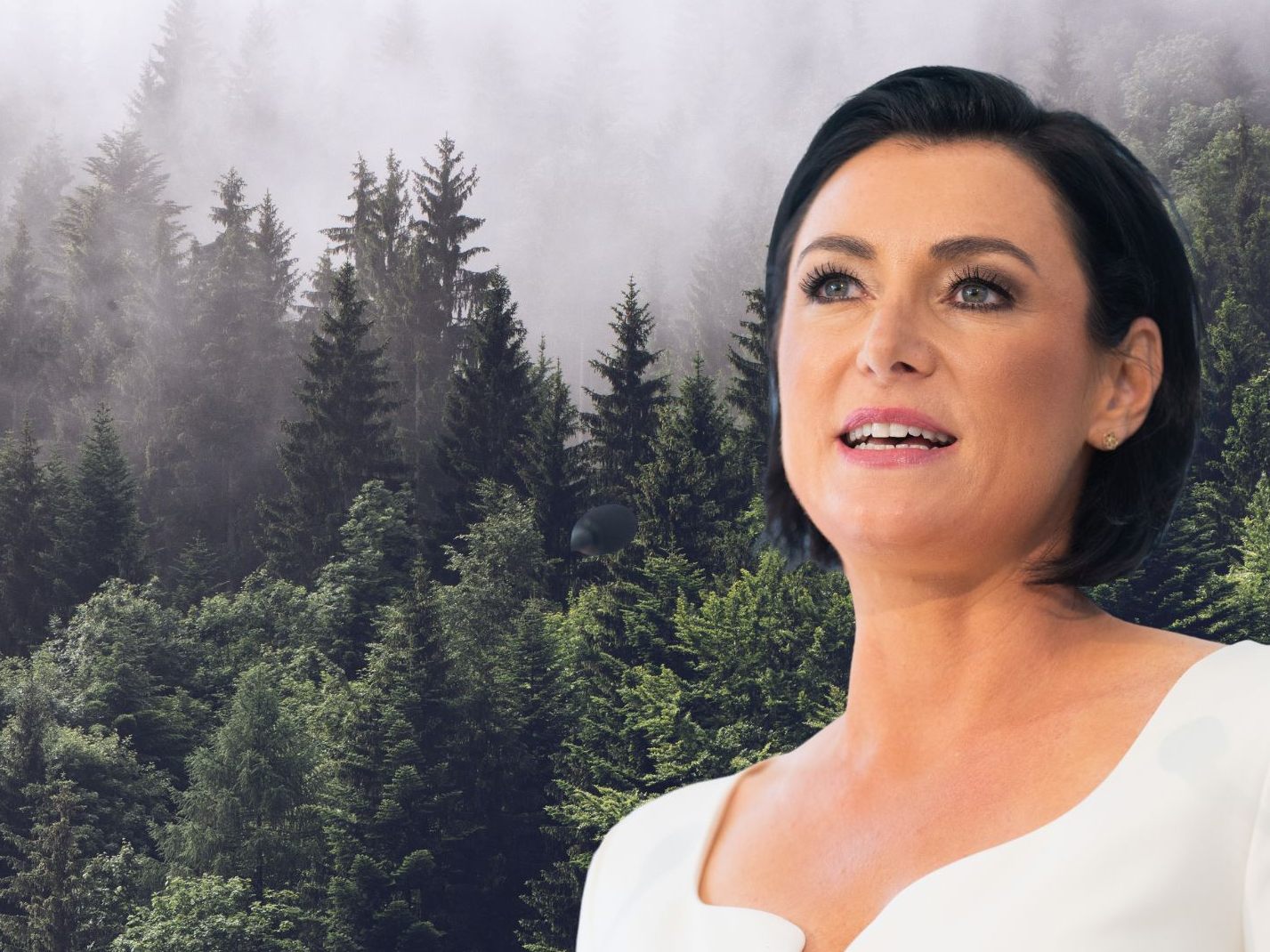 Unter der damaligen Agrarministerin Elisabeth Köstinger (ÖVP) 2020 ins Leben gerufen