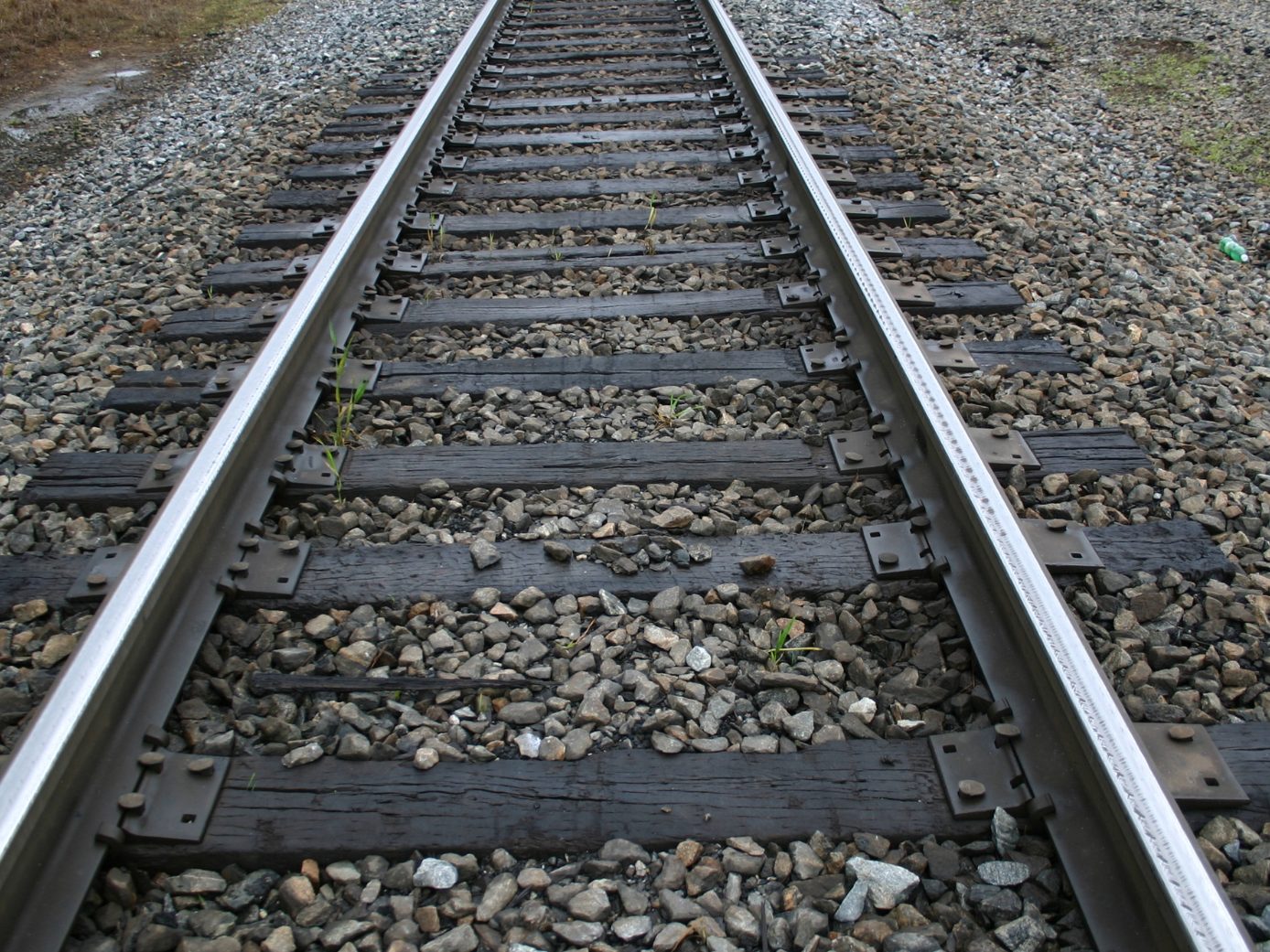 Der Zugverkehr war während der Unfallaufnahme zwischen 7.30 und 8.30 Uhr gesperrt.