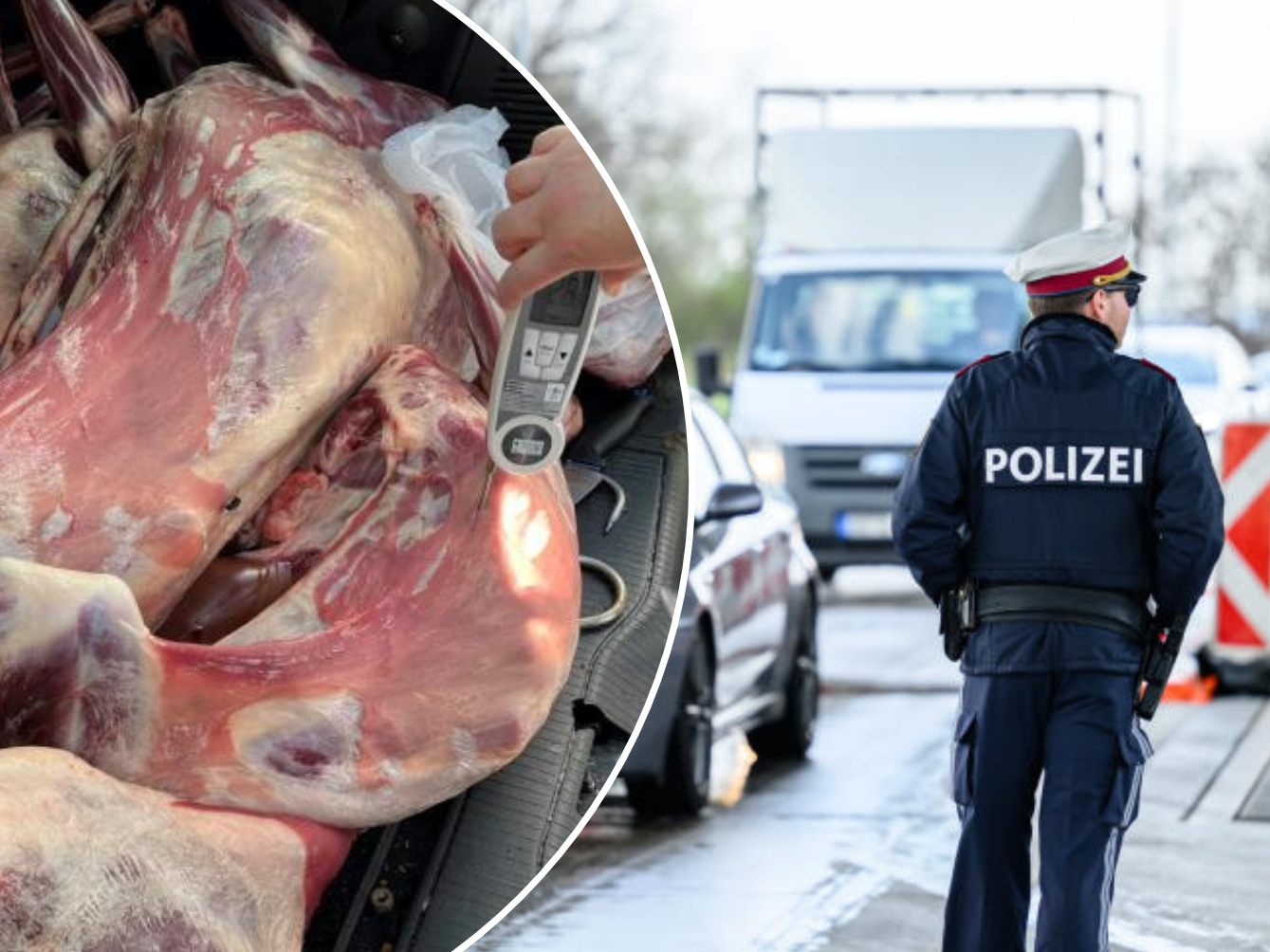 Ekel-Alarm: Die Polizei machte in Wien einen grausigen Fund.