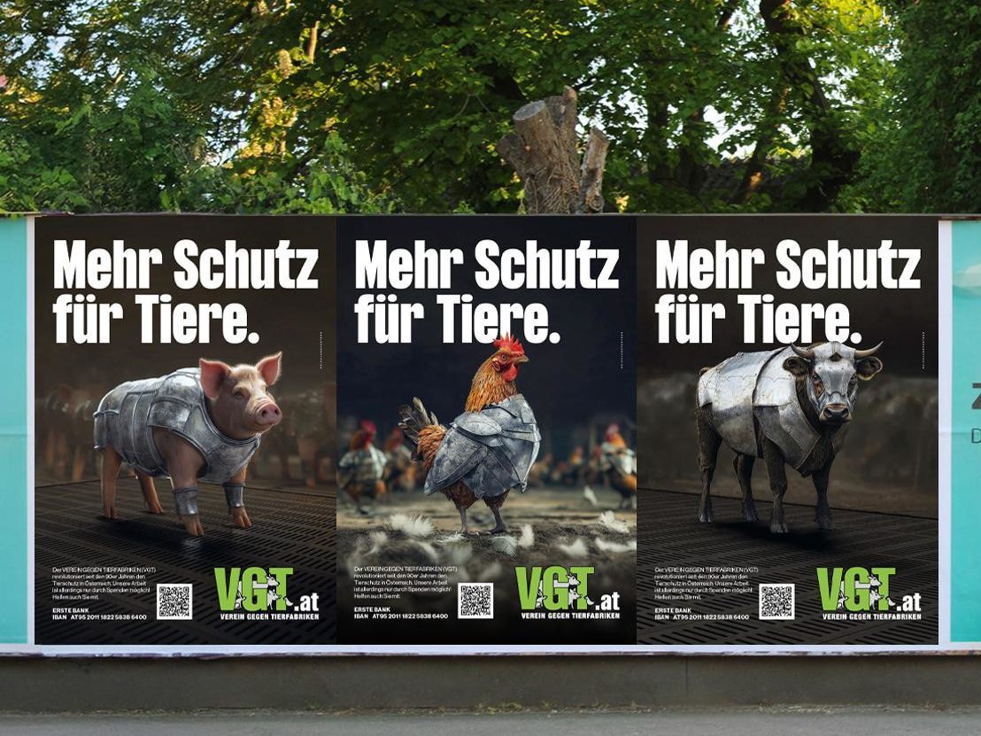 Tiere mit Rüstungen und Kettenhemd – was hat es damit auf sich?