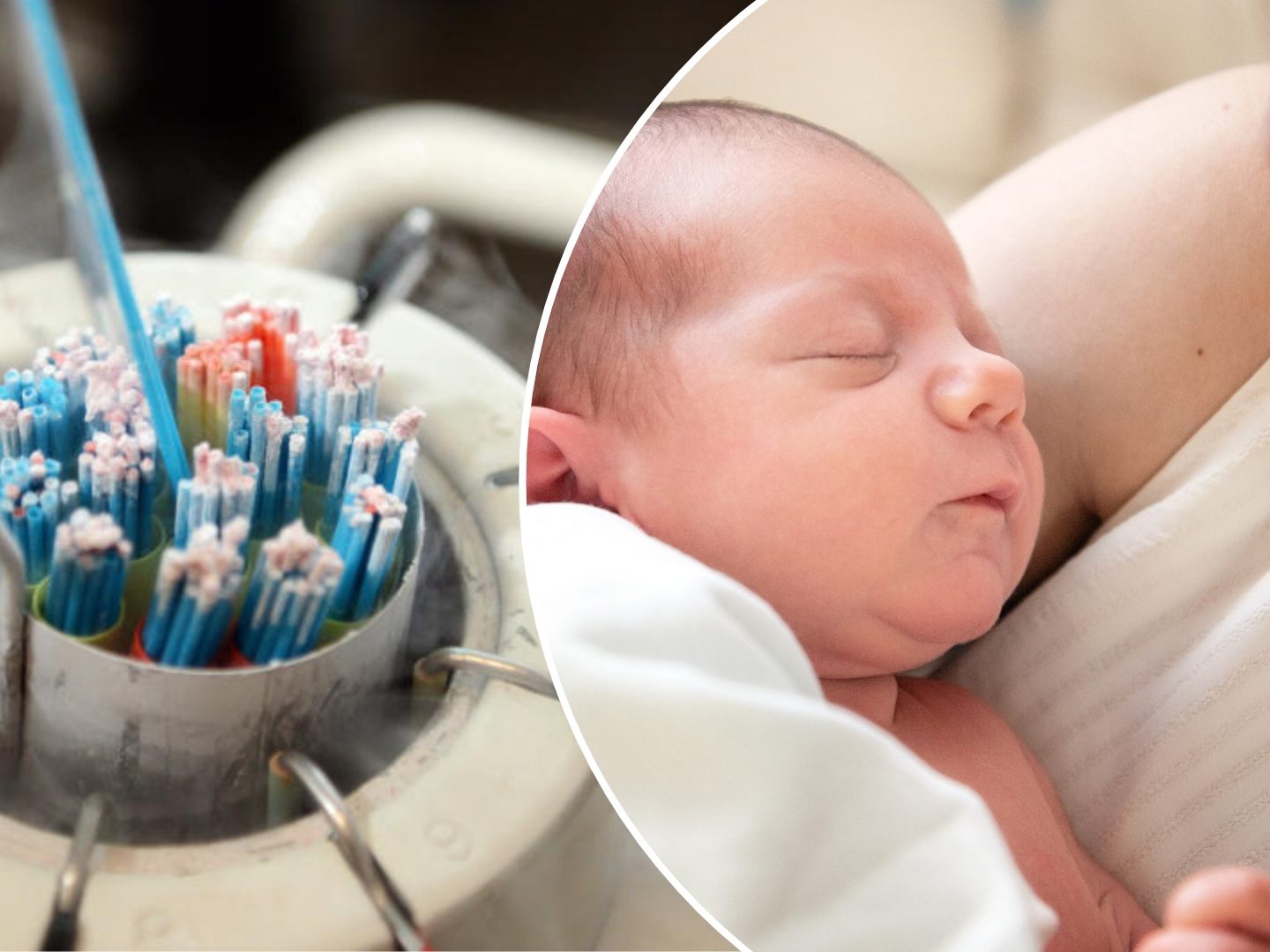 Auch der leibliche Vater aus Salzburg soll nichts von Verwendung seines Spermas gewusst haben.