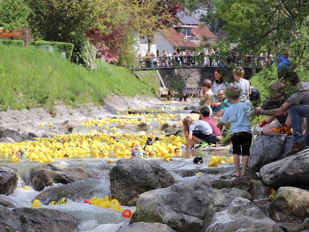 Bei der letzten Ausgabe des Black-River-Duck-Race waren die Enten noch aus Plastik.