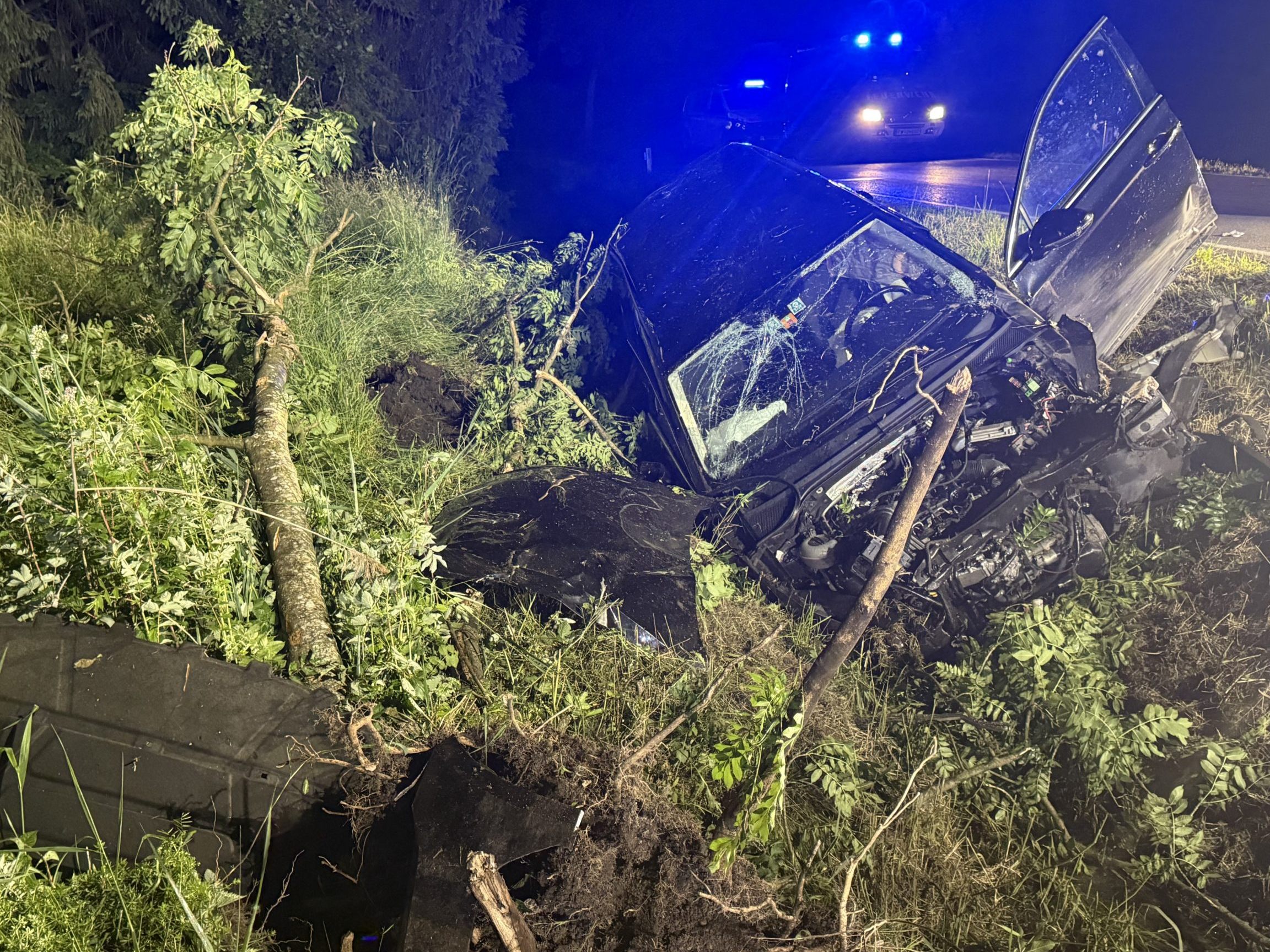 Ein Baum wurde durch die Wucht des Aufpralls des Wagens sogar entwurzelt.