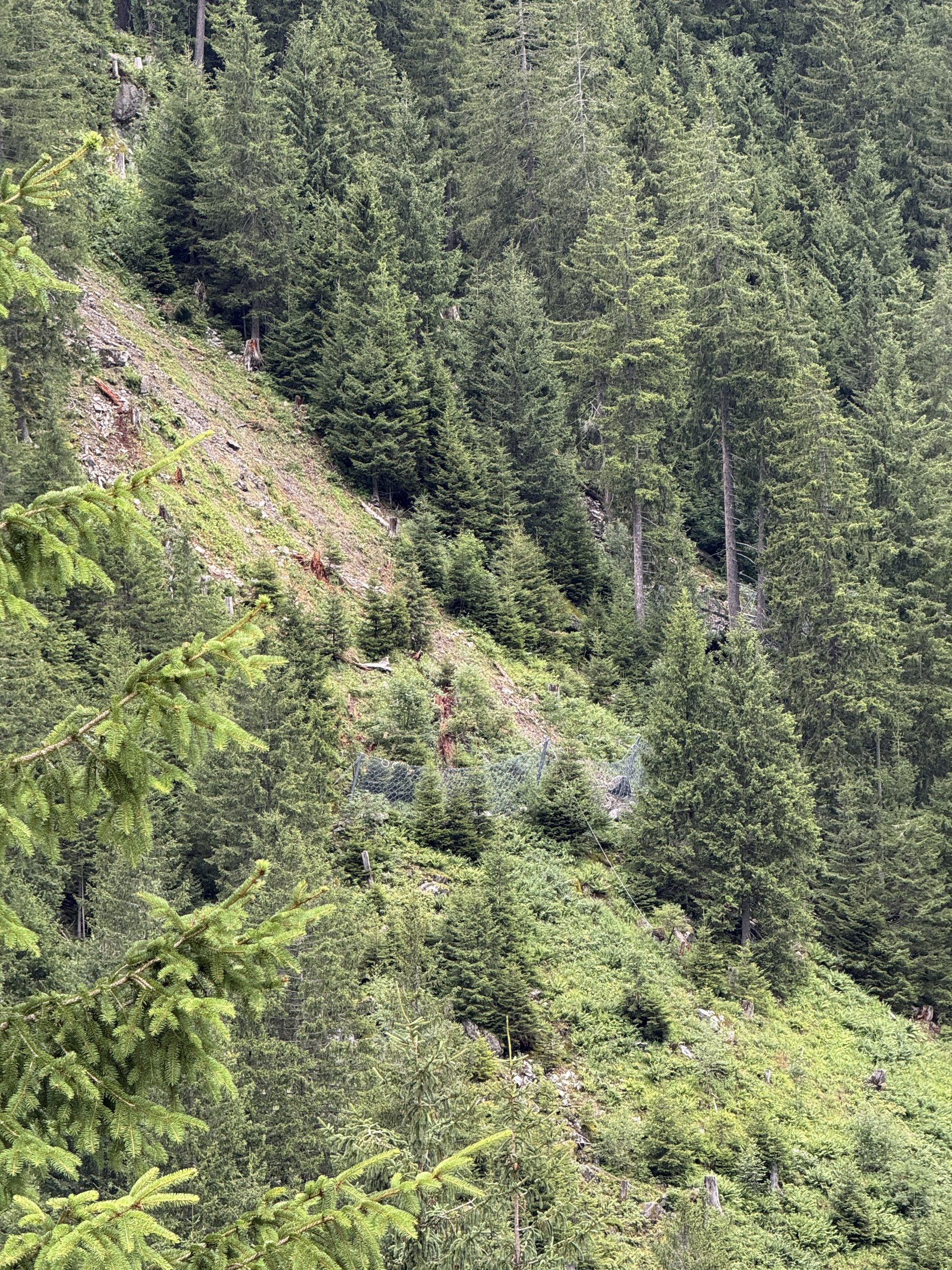 Hochalpenstraße, Wiedereröffnung, Murenabgang, Mure, Partenen, Montafon