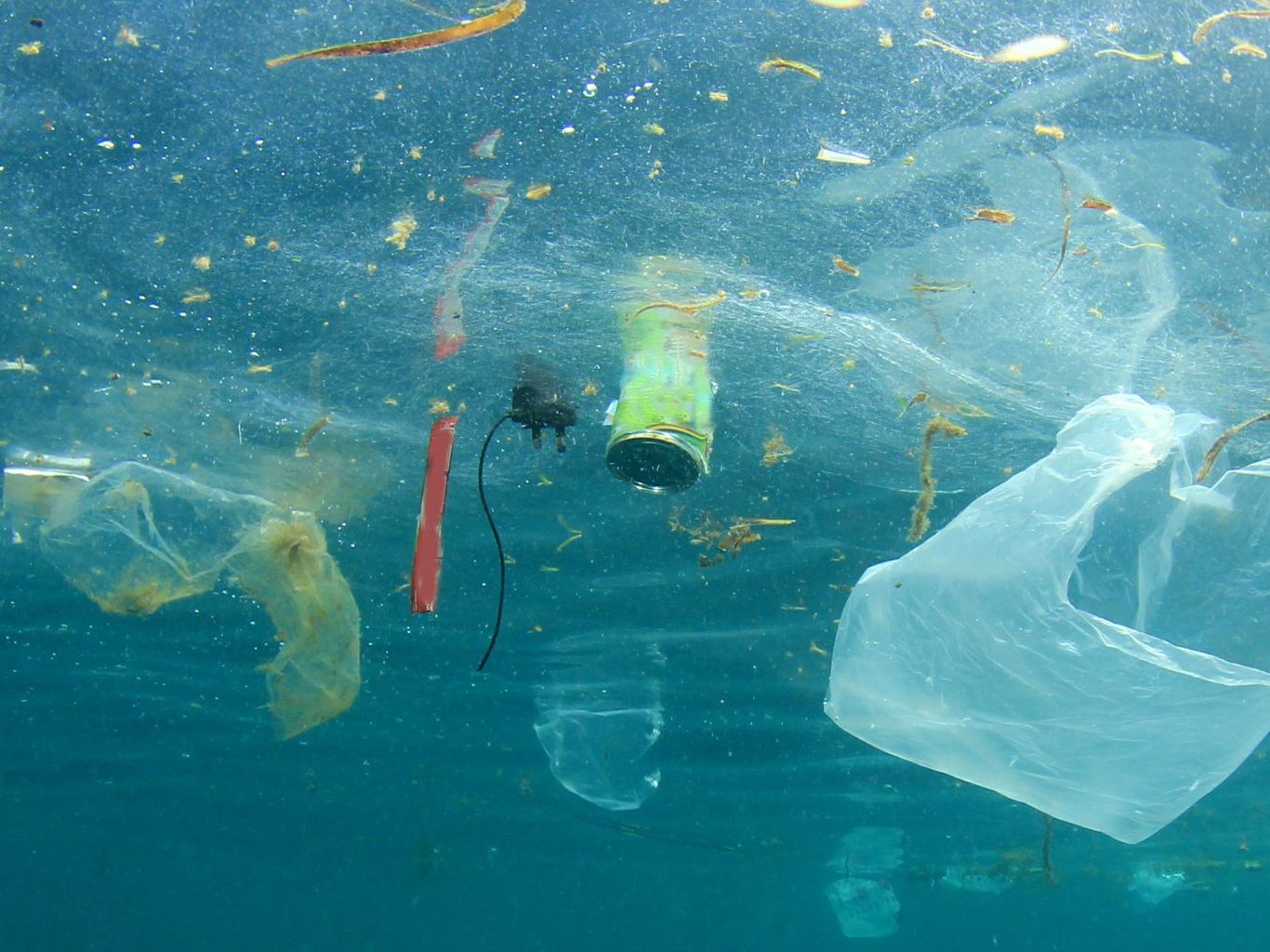 Plastik aus Japan könnte Meere entlasten