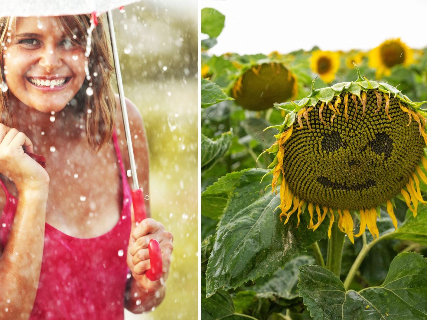 Wetter in Vorarlberg: Regen, Sonne und Gewitter bis Freitag.