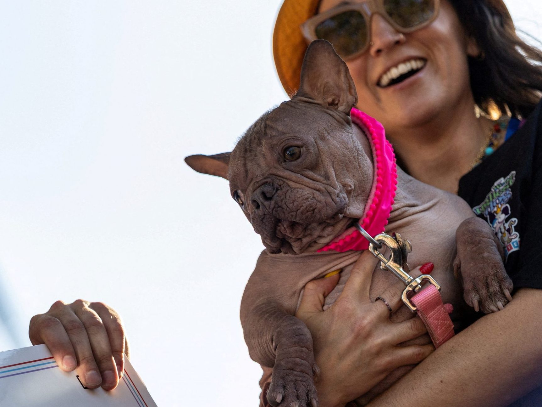 Petunia ist der hässlichste Hund der Welt.