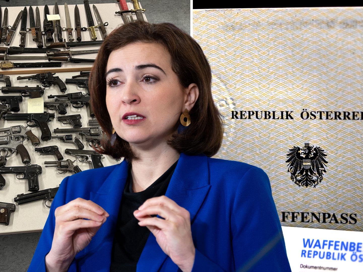 Alma Zadić fordert einen klaren Kurswechsel in der österreichischen Waffengesetzgebung.