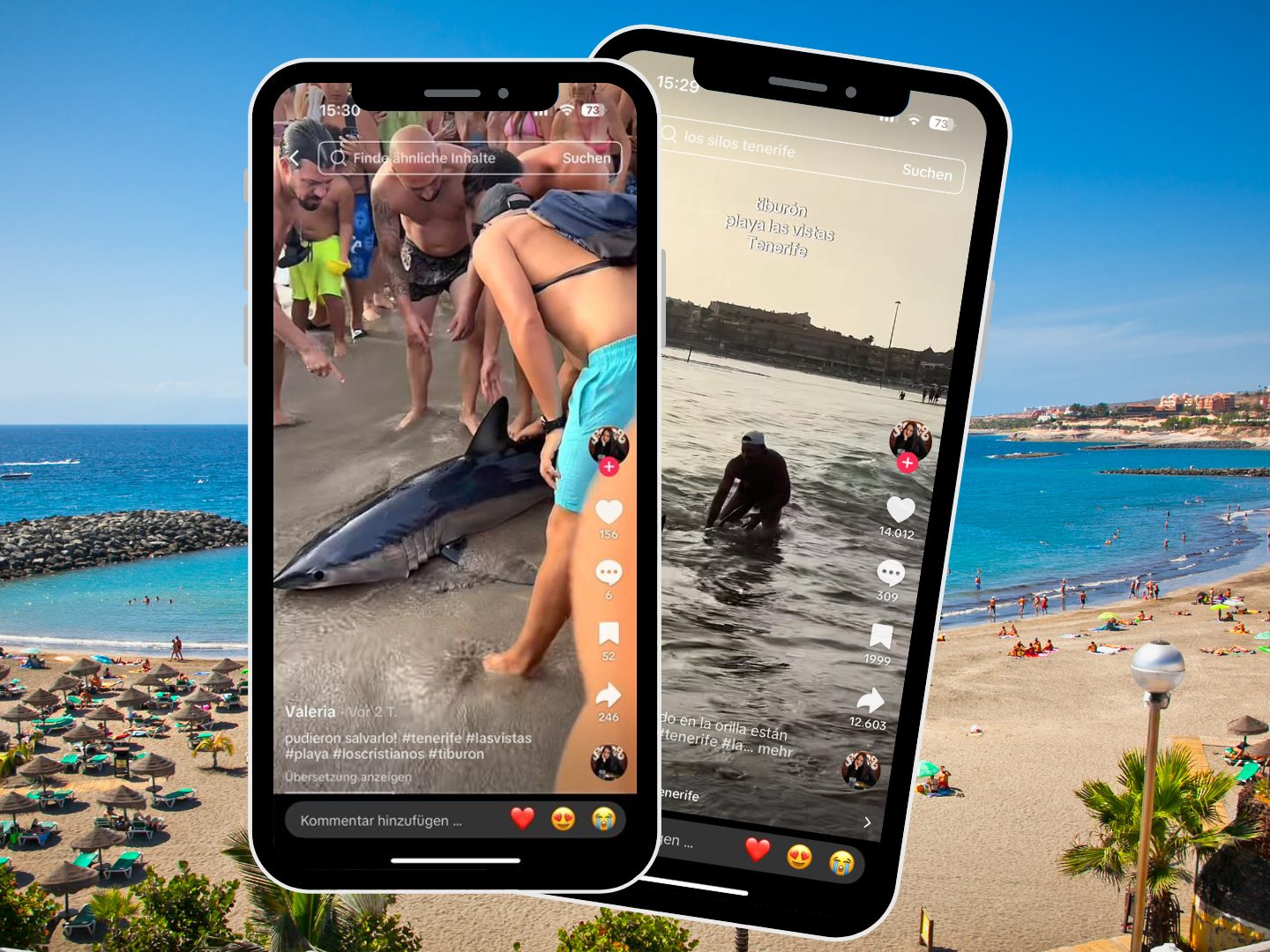 Hai in Not: Urlauber retten Tier am Strand von Teneriffa
