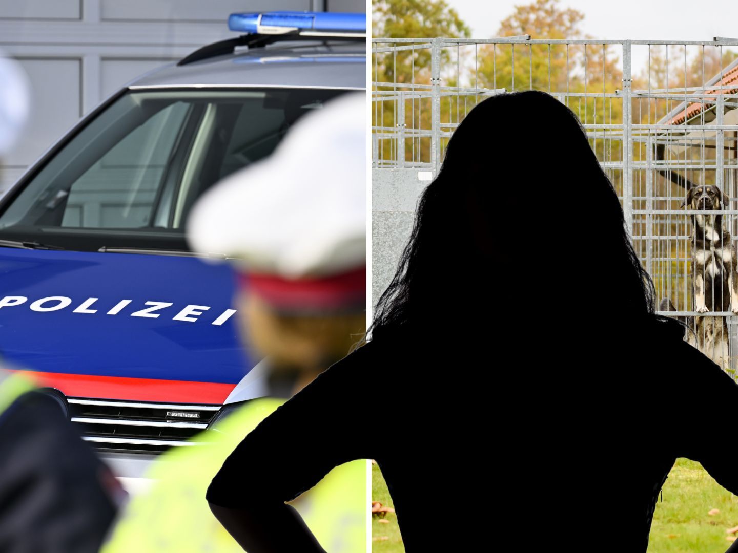 Frau greift Polizisten an, nachdem Hund gesichert werden soll