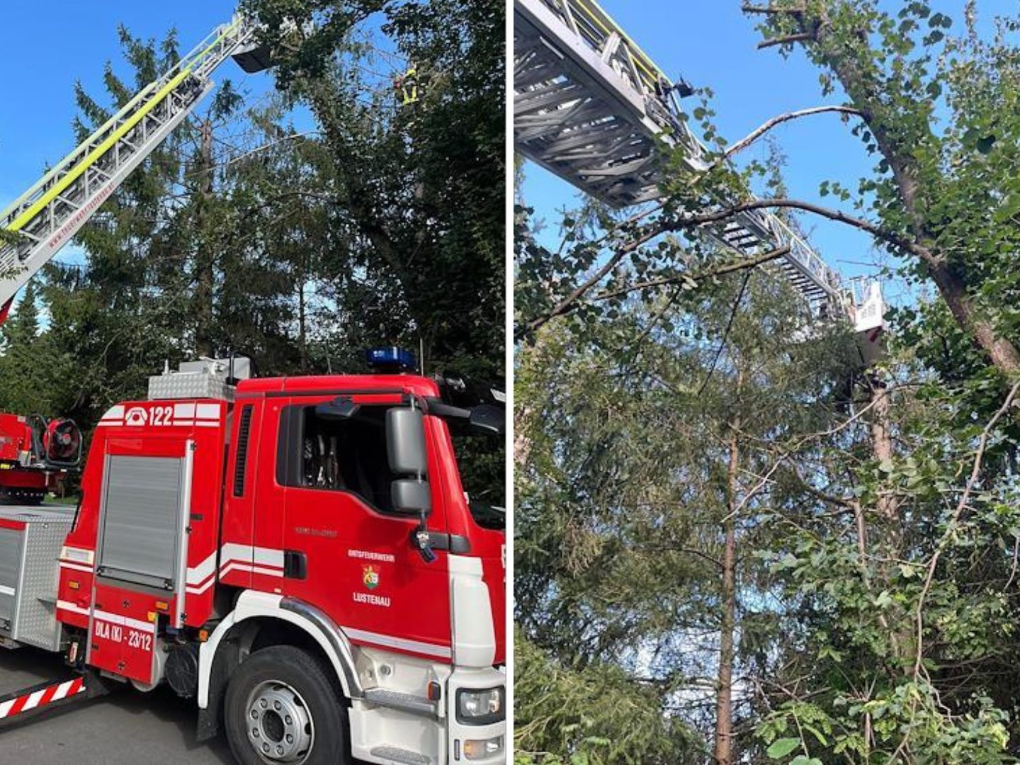 Feuerwehreinsatz in Lustenau: Kinder saßen auf Baum