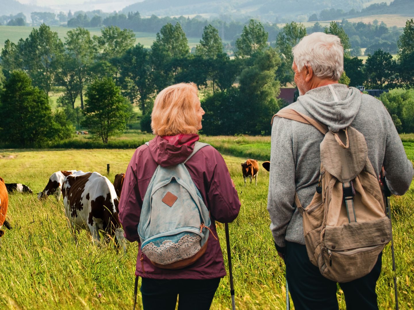 Tierangriff in der Steiermark – 85-Jähriger tot, Frau verletzt